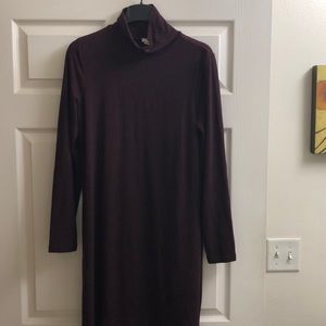 J Crew turtleneck sweater dress